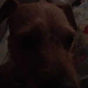 Meet your Posher, Cynnora